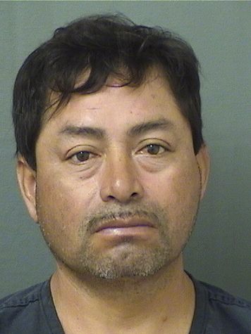  JACINTO CHACHADELACRUZ Results from Palm Beach County Florida for  JACINTO CHACHADELACRUZ