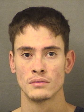  COLTON CHARLES GOODFELLOW Results from Palm Beach County Florida for  COLTON CHARLES GOODFELLOW