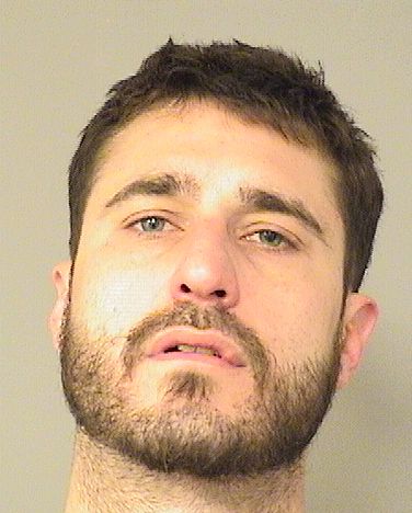  MICHAEL ALAMI Results from Palm Beach County Florida for  MICHAEL ALAMI