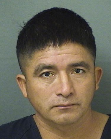  ANDRES MENDEZGERONIMO Results from Palm Beach County Florida for  ANDRES MENDEZGERONIMO