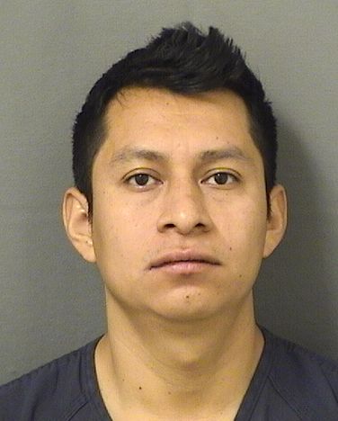  EDVIN ISRAEL Resultados de la busqueda para Palm Beach County Florida para  EDVIN ISRAEL