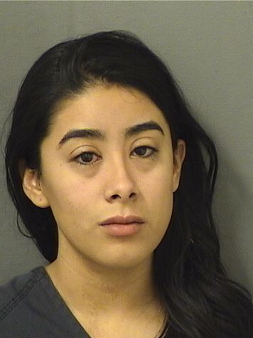  DORILETH NOELIA OLMINO Results from Palm Beach County Florida for  DORILETH NOELIA OLMINO