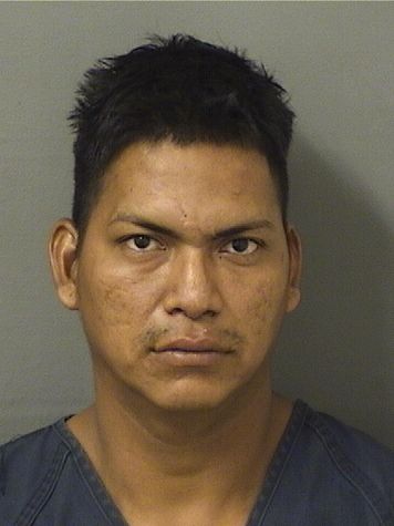  MARLON ANTONIO CASTELLONUBILLA Results from Palm Beach County Florida for  MARLON ANTONIO CASTELLONUBILLA