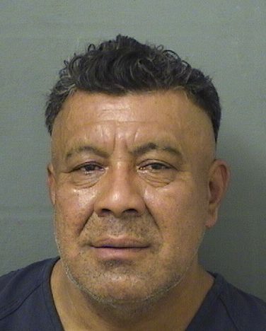  FELIPE HERNANDEZ Results from Palm Beach County Florida for  FELIPE HERNANDEZ