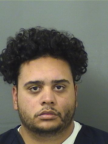  SEBASTIAN L HERNANDEZ Results from Palm Beach County Florida for  SEBASTIAN L HERNANDEZ