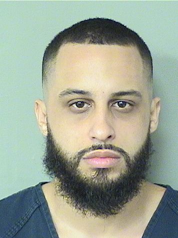  JOHNNY ALFREDO GONZALEZ-DIAZ Results from Palm Beach County Florida for  JOHNNY ALFREDO GONZALEZ-DIAZ