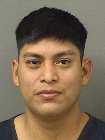  DAYAN PEREZMORALES Results from Palm Beach County Florida for  DAYAN PEREZMORALES