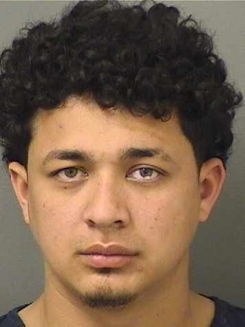  MILTON SAMIR PEREZGIACOLETI Results from Palm Beach County Florida for  MILTON SAMIR PEREZGIACOLETI