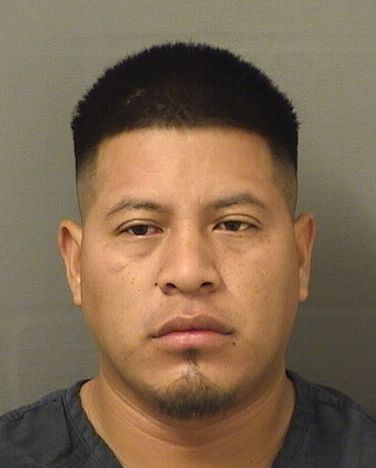  IGNACIO C ESCALANTECHAVEZ Results from Palm Beach County Florida for  IGNACIO C ESCALANTECHAVEZ