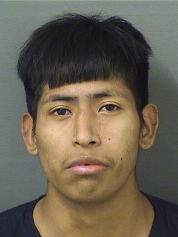  GIOVANNI MENDEZGUTTIEREZ Results from Palm Beach County Florida for  GIOVANNI MENDEZGUTTIEREZ