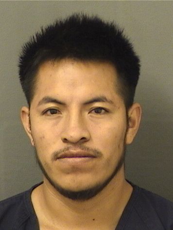  MARINO TOMASGARCIA Results from Palm Beach County Florida for  MARINO TOMASGARCIA