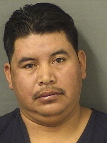 ANDRES PEDRO MATEOMARTIN Results from Palm Beach County Florida for ANDRES PEDRO MATEOMARTIN ANDRES PEDRO MATEOMARTIN Results from Palm Beach County Florida for ANDRES PEDRO MATEOMARTIN
