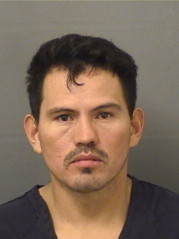  JOSE FLORENTIN CASTELLONRAMIREZ Results from Palm Beach County Florida for  JOSE FLORENTIN CASTELLONRAMIREZ
