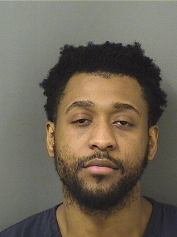  JEAN S LOUIS Results from Palm Beach County Florida for  JEAN S LOUIS