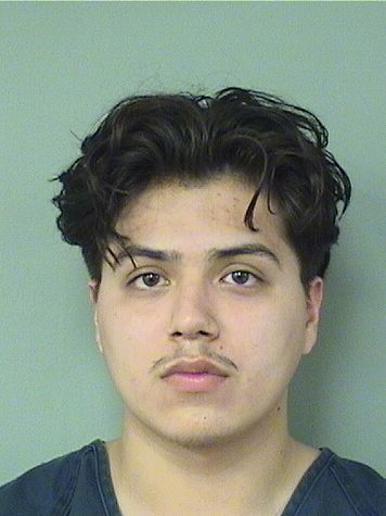  CARLOS JULIAN ARRIAGA Results from Palm Beach County Florida for  CARLOS JULIAN ARRIAGA