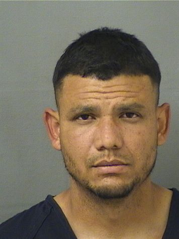 ANTONIO THOMAS TIGREROPINA Results from Palm Beach County Florida for  ANTONIO THOMAS TIGREROPINA