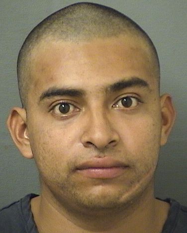  ELIOTT ALEXANDER MALESPINRAMIREZ Resultados de la busqueda para Palm Beach County Florida para  ELIOTT ALEXANDER MALESPINRAMIREZ