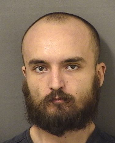  RONALD BRIAN MURRAY Results from Palm Beach County Florida for  RONALD BRIAN MURRAY