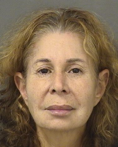  ELYSE TERI STEINBERG Results from Palm Beach County Florida for  ELYSE TERI STEINBERG