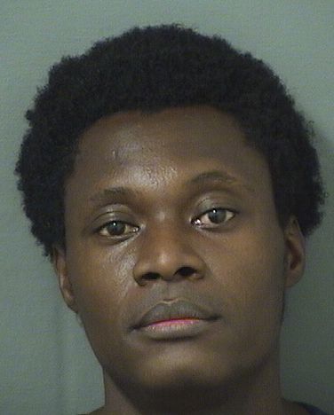  ROMEX NERESTAN Results from Palm Beach County Florida for  ROMEX NERESTAN