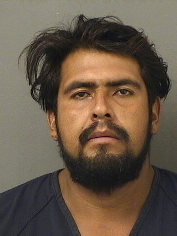  JOSE ENRIQUE ALVAREZPLAZA Results from Palm Beach County Florida for  JOSE ENRIQUE ALVAREZPLAZA