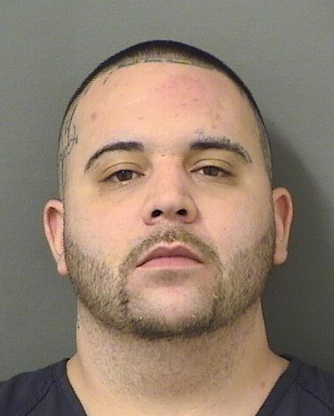  CODY ALLEN LUPICA Results from Palm Beach County Florida for  CODY ALLEN LUPICA