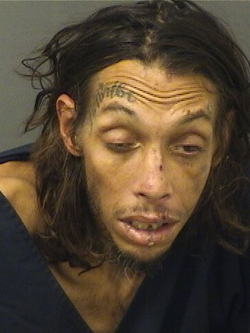  PATRICK ADAM KELLY Photo For  PATRICK ADAM KELLY