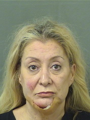  MICHELE ANN RAZZANO Results from Palm Beach County Florida for  MICHELE ANN RAZZANO