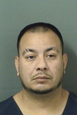  CHRISTOPHER VALEGA Results from Palm Beach County Florida for  CHRISTOPHER VALEGA