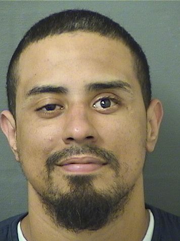  ARLES X FLORES Results from Palm Beach County Florida for  ARLES X FLORES