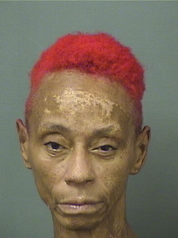  DENISE ANNE JONES Resultados de la busqueda para Palm Beach County Florida para  DENISE ANNE JONES