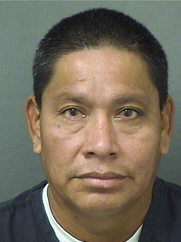  ADRIAN PAXTOR Photo For  ADRIAN PAXTOR