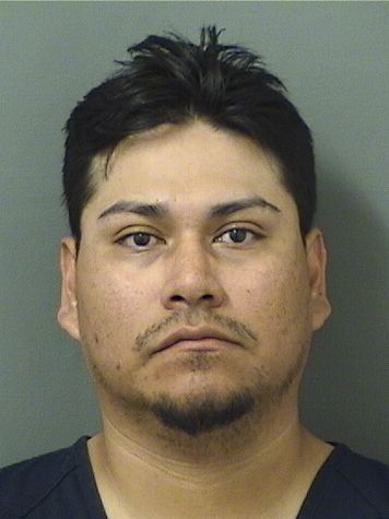  STEVE ALBERTO RUIZ Resultados de la busqueda para Palm Beach County Florida para  STEVE ALBERTO RUIZ