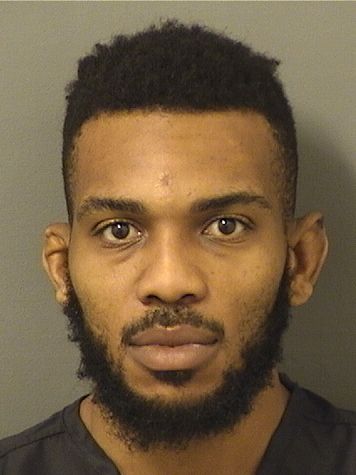  GABRIEL LAVON ROSEAU Results from Palm Beach County Florida for  GABRIEL LAVON ROSEAU