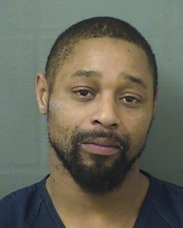  MICHAEL CATO JONES Results from Palm Beach County Florida for  MICHAEL CATO JONES