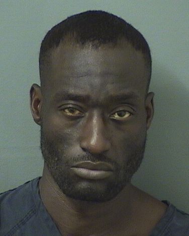  ANDREA ALBERT BANKS Results from Palm Beach County Florida for  ANDREA ALBERT BANKS