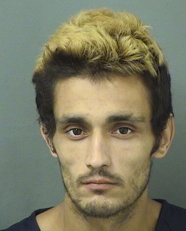  CRISTINO J MADIGAN Results from Palm Beach County Florida for  CRISTINO J MADIGAN