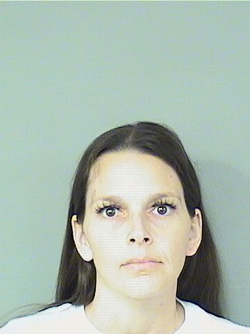  CAMILE ANTOINETTE TESAURO Results from Palm Beach County Florida for  CAMILE ANTOINETTE TESAURO