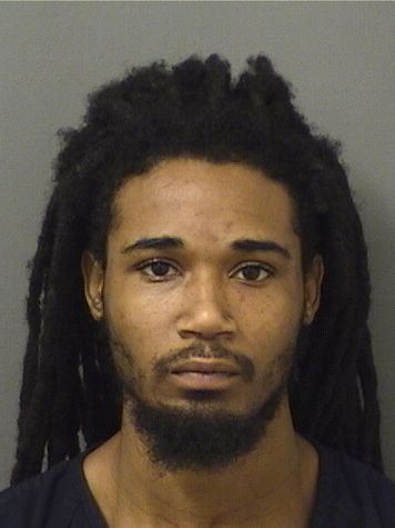  JOHNATHON M SMITH Results from Palm Beach County Florida for  JOHNATHON M SMITH