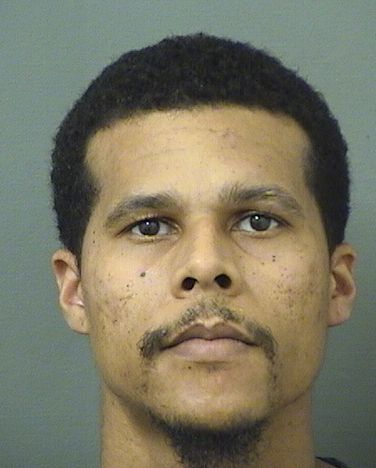  EMMANUEL MICHAEL RICE Resultados de la busqueda para Palm Beach County Florida para  EMMANUEL MICHAEL RICE