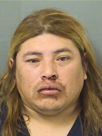  JUAN ANDRES Results from Palm Beach County Florida for  JUAN ANDRES