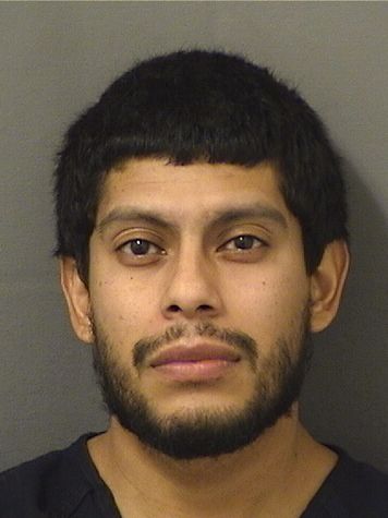  ALEX MITZAEL HERNANDEZALVIZURES Results from Palm Beach County Florida for  ALEX MITZAEL HERNANDEZALVIZURES