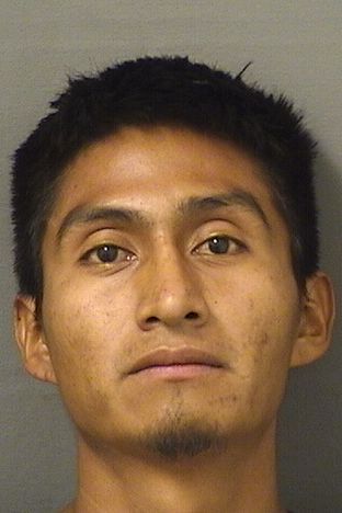  EDGAR D VAZQUEZMENDOZQA Resultados de la busqueda para Palm Beach County Florida para  EDGAR D VAZQUEZMENDOZQA