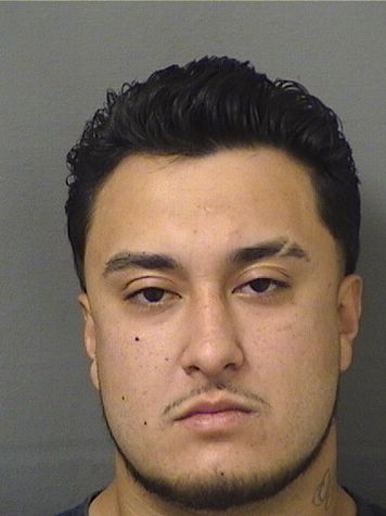  JOSE ALFREDO ROMERO Results from Palm Beach County Florida for  JOSE ALFREDO ROMERO