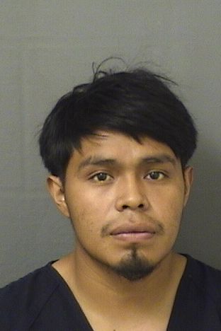 ALEX DOMINGOLOPEZ Results from Palm Beach County Florida for ALEX DOMINGOLOPEZ ALEX DOMINGOLOPEZ Results from Palm Beach County Florida for ALEX DOMINGOLOPEZ