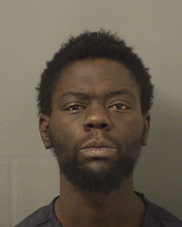  STEVENSON PYRRHUS Results from Palm Beach County Florida for  STEVENSON PYRRHUS