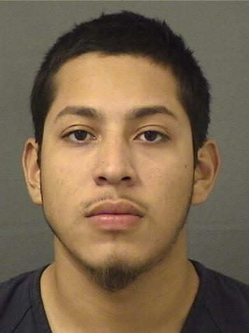  DANIEL RAMIREZBELTRAN Results from Palm Beach County Florida for  DANIEL RAMIREZBELTRAN