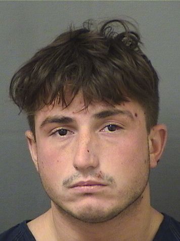  DAVID RUTHERFORD ESNER Results from Palm Beach County Florida for  DAVID RUTHERFORD ESNER