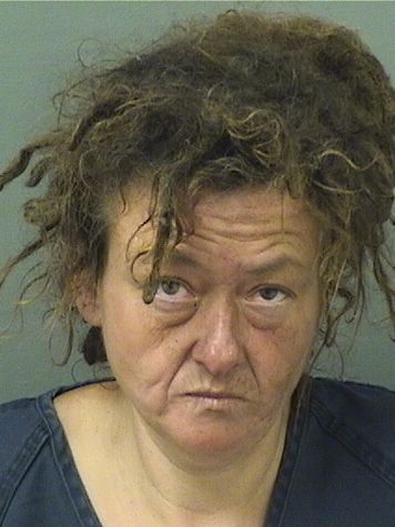  HEATHER B NUNEZ Results from Palm Beach County Florida for  HEATHER B NUNEZ