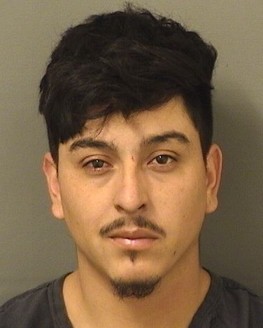  ANIBAL JOSSUE HERNANDEZFLORES Results from Palm Beach County Florida for  ANIBAL JOSSUE HERNANDEZFLORES